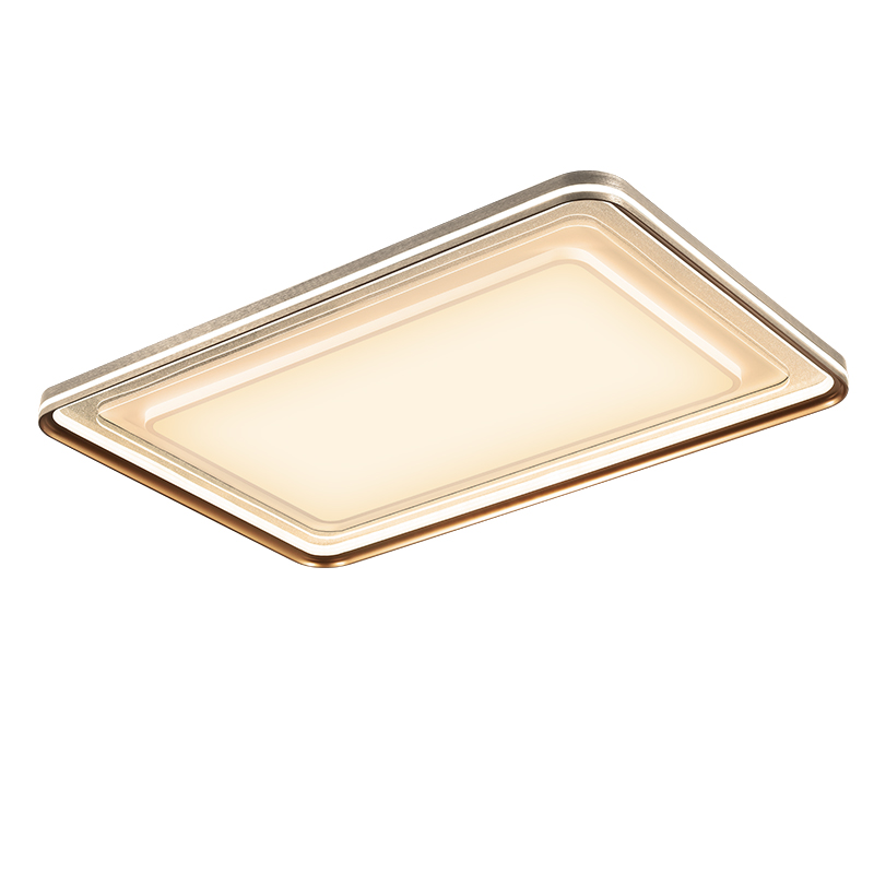 臥室燈，客廳燈，吸頂燈